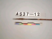 藏品(單鏃竹箭)的圖片